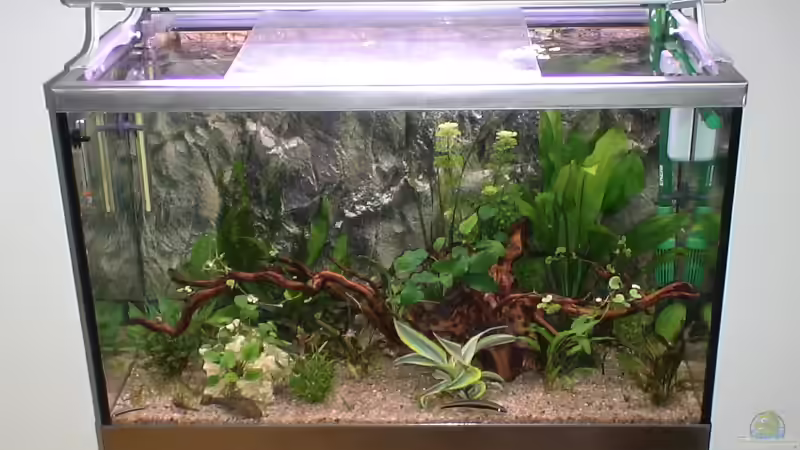 Aquarium Becken 10169 von oxmox78 (2)