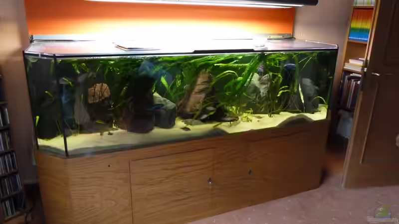 Aquarium Becken 10218 von roofer112 (2)