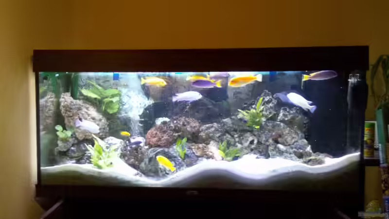 Aquarium Becken 10223 von Stefan Mischler (8)