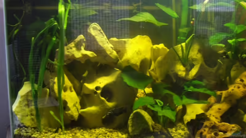 Aquarium Becken 10275 von egoxpress (2)