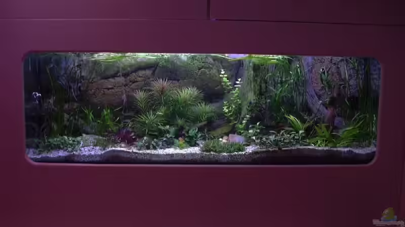Aquarium Becken 10281 von Dirk72 (2)