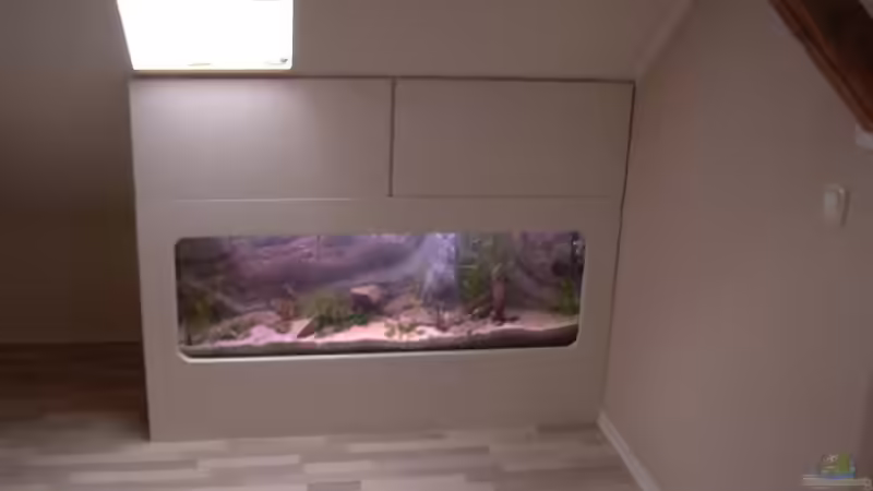 Aquarium Becken 10281 von Dirk72 (4)