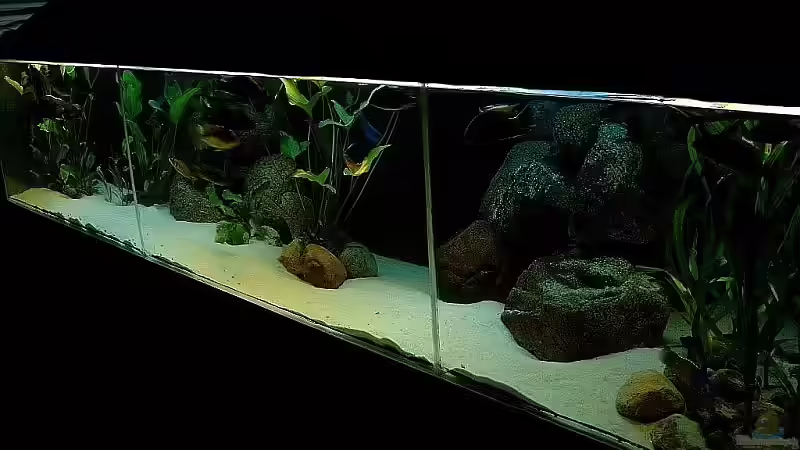 Aquarium Becken 1029 von Helgo Jacob (4)