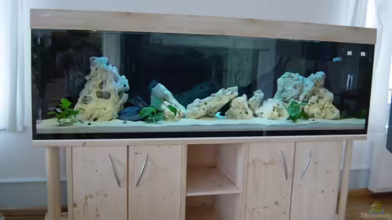 Aquarium Becken 1037 von Sascha Rikart (2)