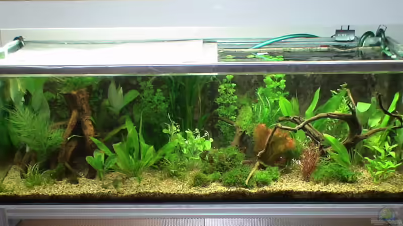 Aquarium Becken 10375 von oxmox78 (2)