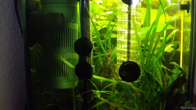 Aquarium Becken 10380 von Franky Lunatic (5)