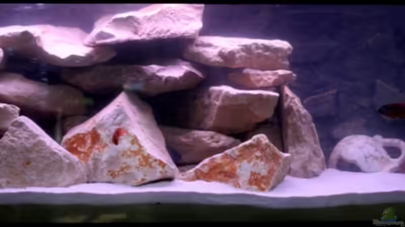 Aquarium Becken 10405 von roybaer (2)