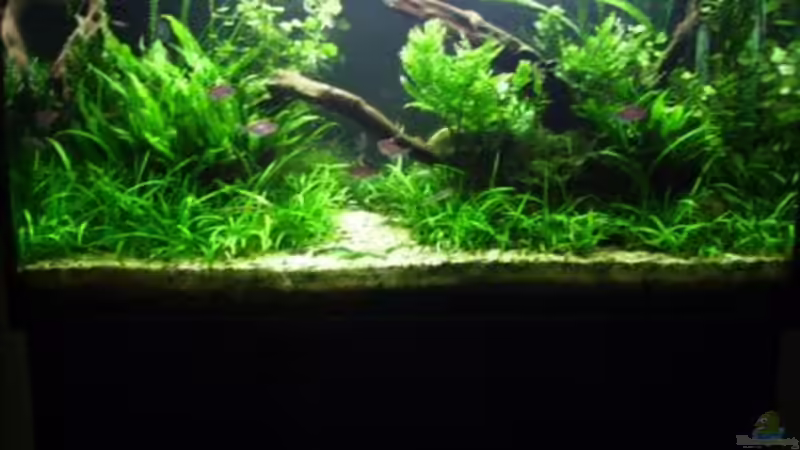 Aquarium Becken 10423 von BMF (2)