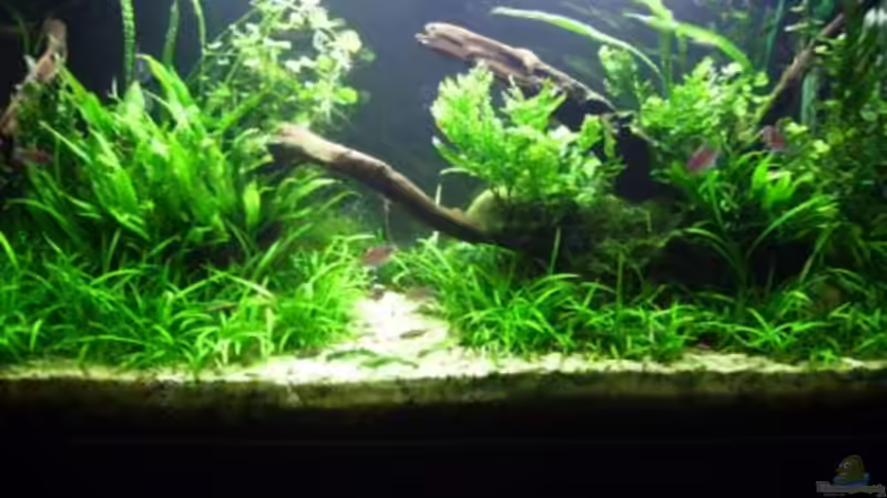 Aquarium Becken 10423 von BMF (3)