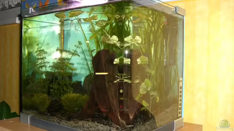 Aquarium Becken 10470 von c4L!m3ro (2)