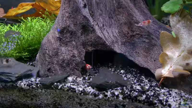 Aquarium Becken 10470 von c4L!m3ro (3)