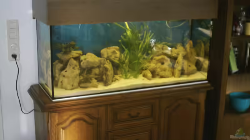 Aquarium Becken 105 von Thomas Pichlo (2)