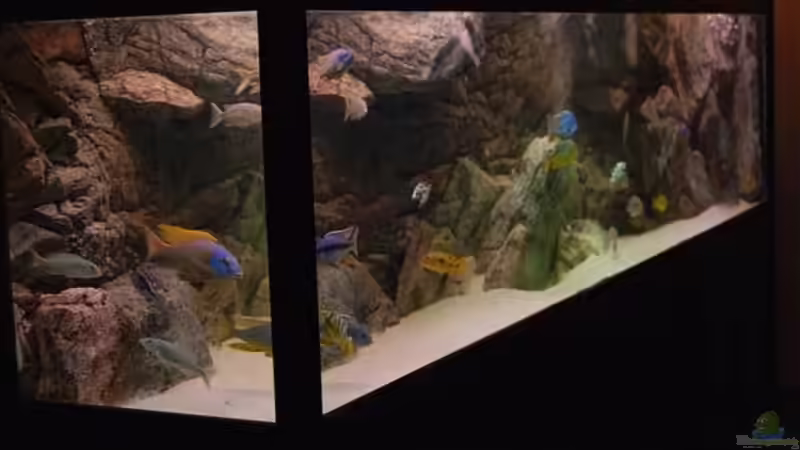 Aquarium Becken 10590 von Wietze Bron (14)