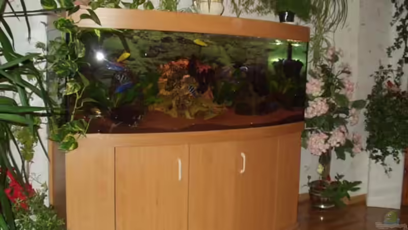 Aquarium Becken 106 von David Daniel (2)