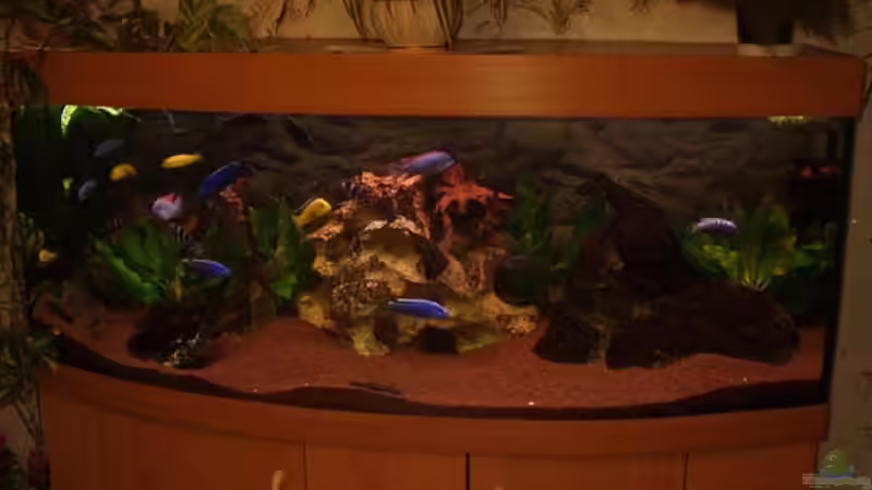 Aquarium Becken 106 von David Daniel (3)