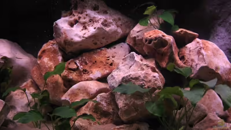 Aquarium Becken 10638 von Pepe1981 (3)