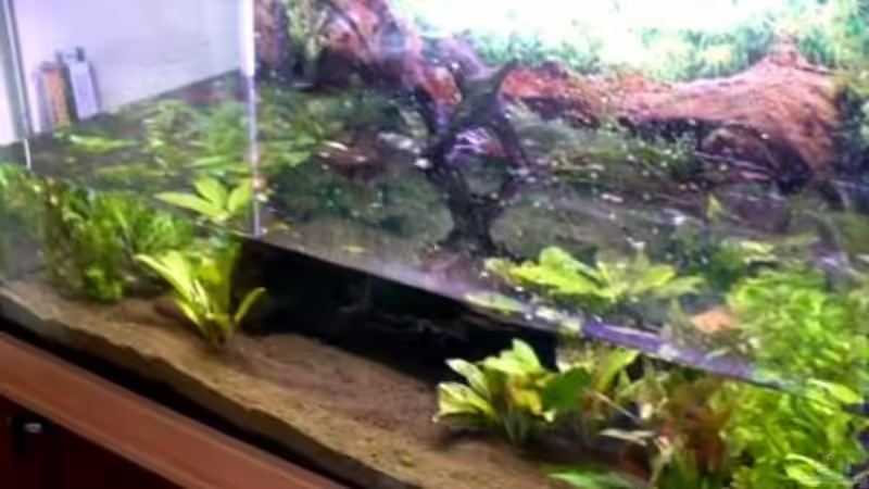 Aquarium Becken 10639 von Samsa (6)