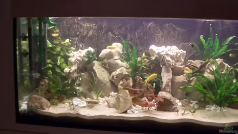 Aquarium Becken 10668 von Uwe Richter (2)