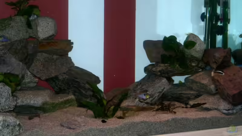 Aquarium Becken 10671 von Duck34 (2)