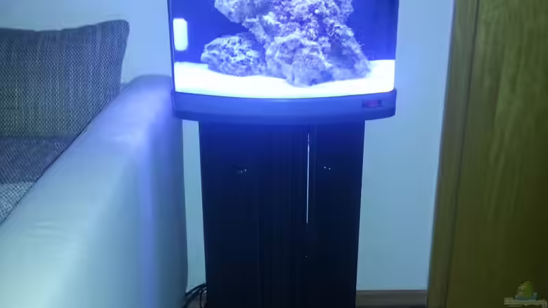 Aquarium Becken 10673 von Mathias Schlett (3)