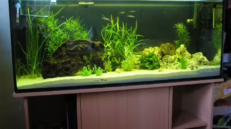 Aquarium Becken 10690 von aquamax (2)