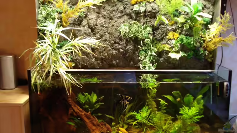 Aquarium Becken 10720 von MarcFaßbender (2)