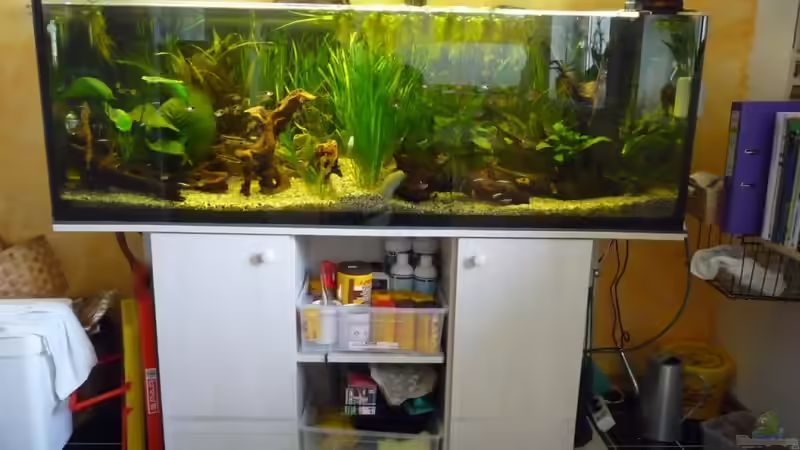 Aquarium Becken 10729 von Schildi (3)