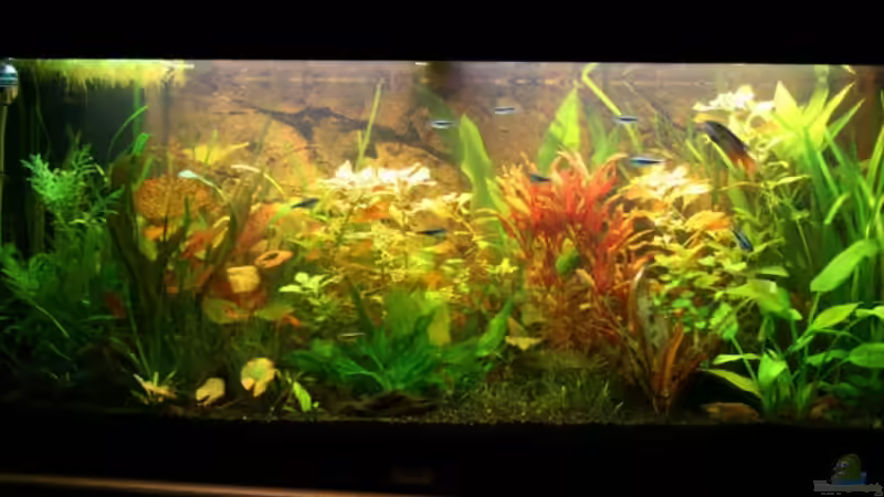 Aquarium Becken 10793 von stefanhwi (2)