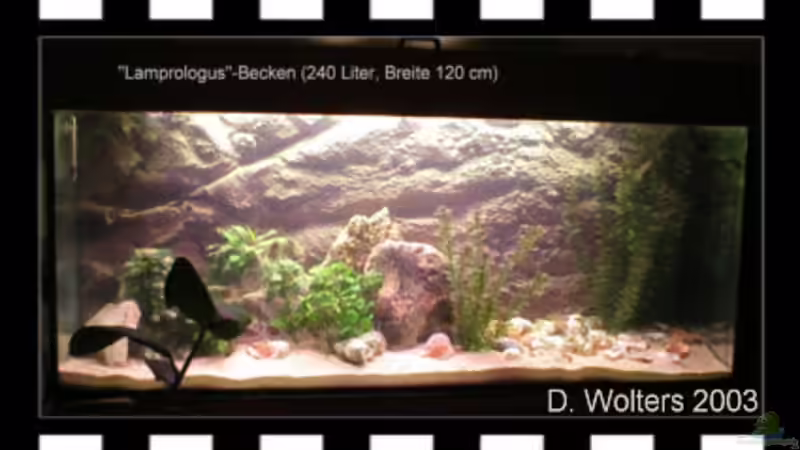 Aquarium Becken 108 von Dirk A. Wolters (2)