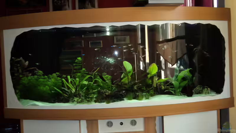 Aquarium Becken 10818 von BlauerBock (2)