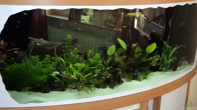 Aquarium Becken 10818 von BlauerBock (3)