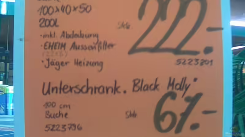 Aquarium Becken 10819 von A.Zabanoff (10)