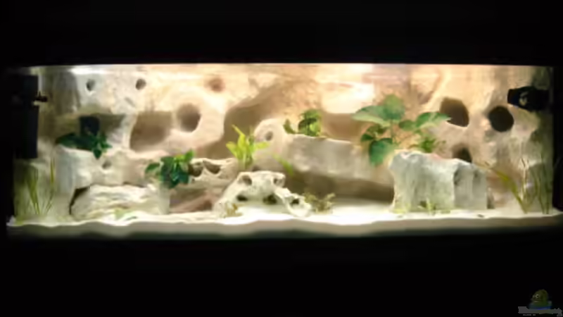 Aquarium Becken 10874 von Enrico Müller (2)