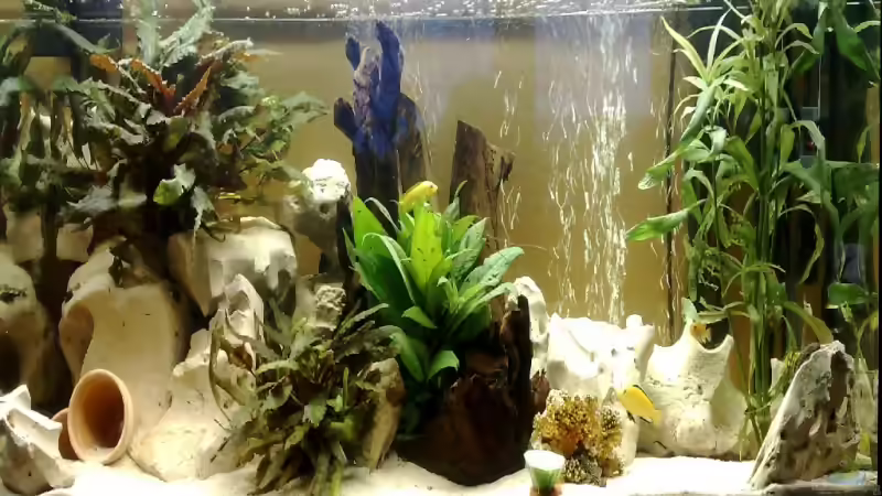 Aquarium Becken 10898 von bennymotte (9)