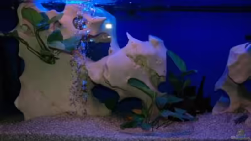 Aquarium Becken 109 von Silvano Erjavec (3)