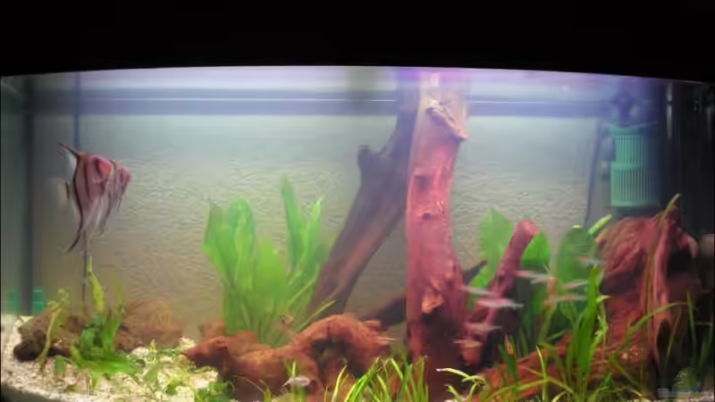 Aquarium Becken 10900 von KaSeK (2)