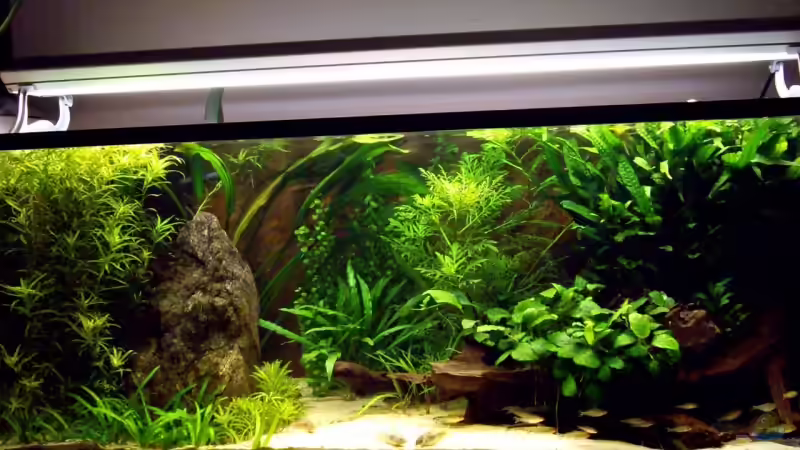 Aquarium Becken 10902 nur noch als Beispiel von Oliver Bartels (2)