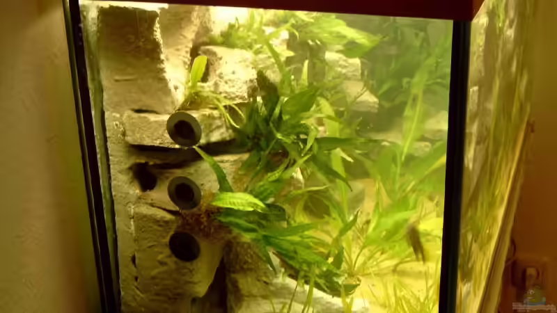 Aquarium Becken 1102 von Rocco Augner (2)