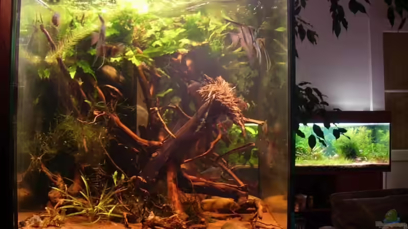 Aquarium Becken 11051 von Daniel_ (3)