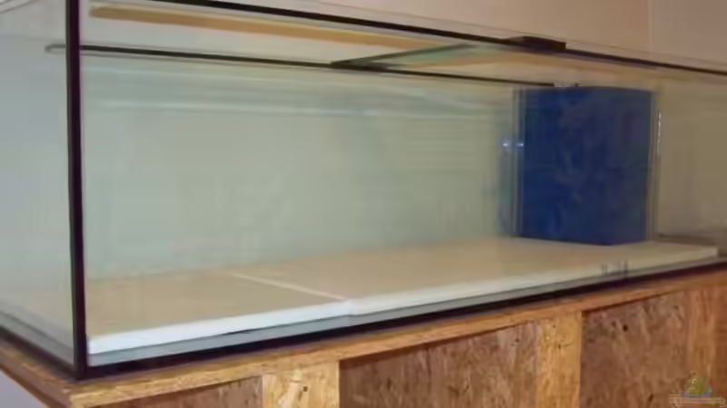 Aquarium Becken 11069 von Andy Hurm (12)