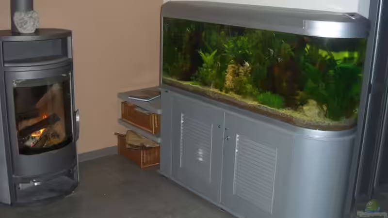 Aquarium Becken 11159 von Holger Baake (2)