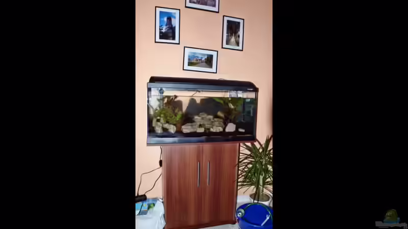 Aquarium Becken 112 L nur noch als Beispiel von Stony (2)