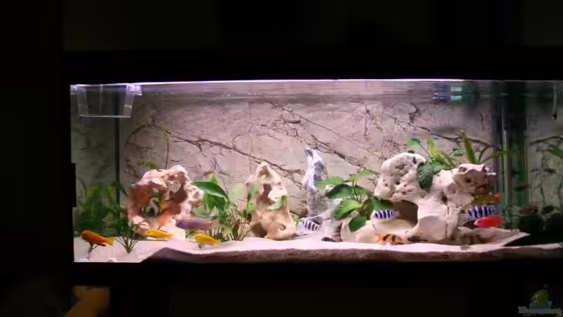 Aquarium Becken 11327 von brusti (2)