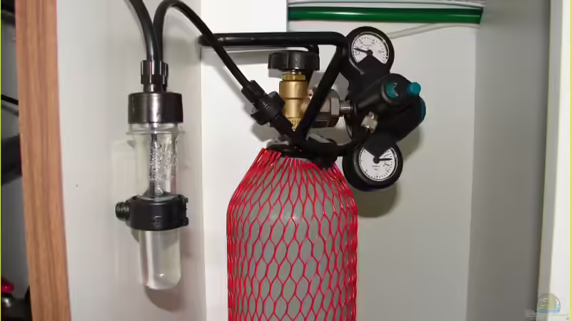 Aquarium Becken 1133 von Markus Kerwien (2)