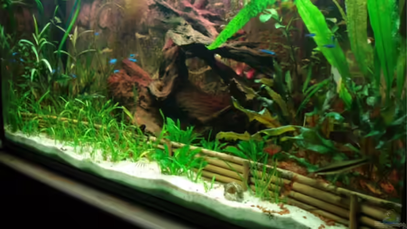 Aquarium Becken 11381 von Melle (2)