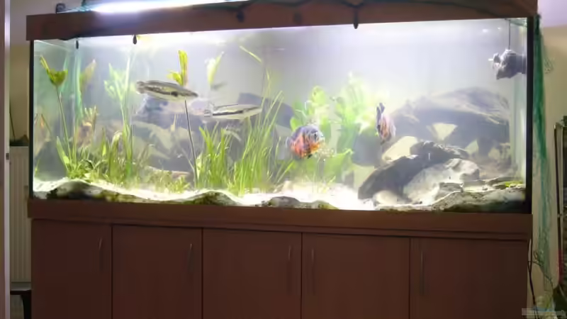 Aquarium Becken 11409 von Schmitzi (4)