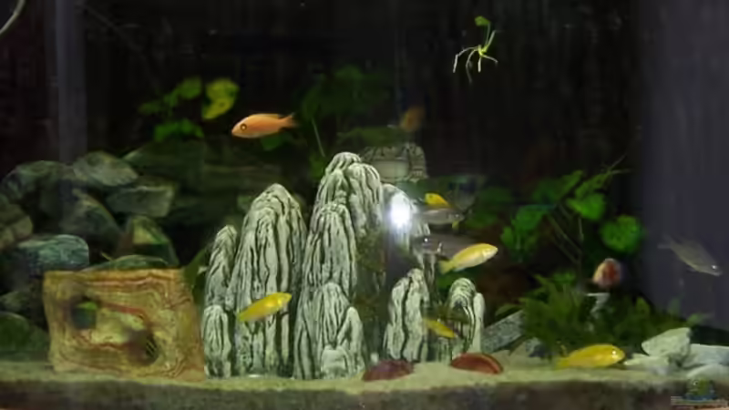 Aquarium Becken 11459 von ProPaul (4)