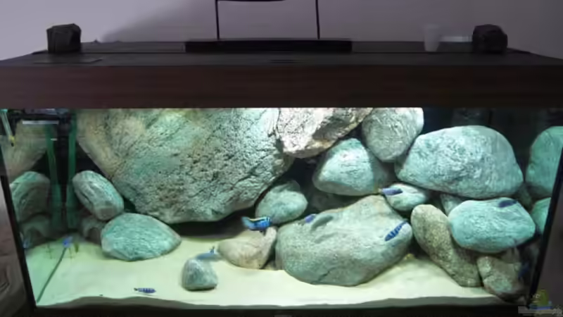 Aquarium Becken 11465 von Andre Walz (5)