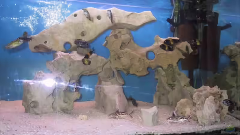 Aquarium Becken 115 von Karsten Garn (2)