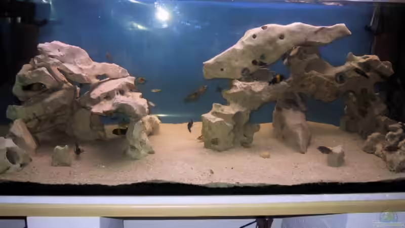 Aquarium Becken 115 von Karsten Garn (4)